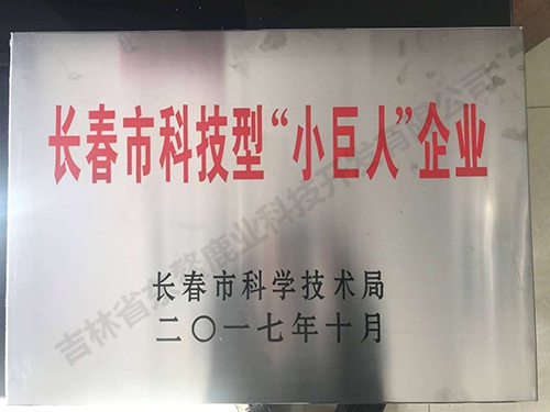 小巨人企业